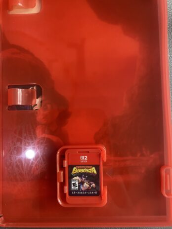 Donkey Kong Banaza