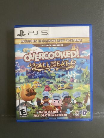 Overcooked! All You Can Eat