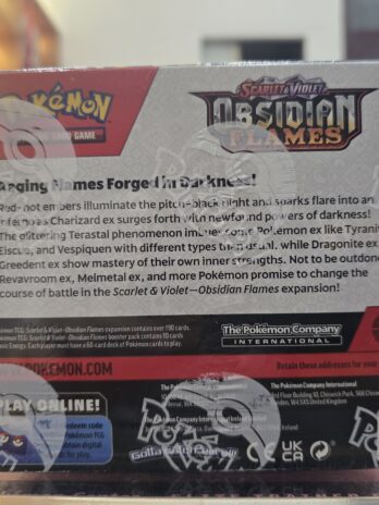 Obsidian Flames Booster Box